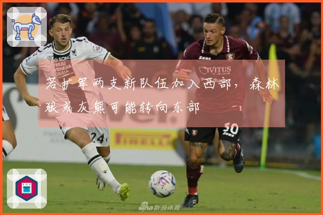 若扩军两支新队伍加入西部，森林狼或灰熊可能转向东部