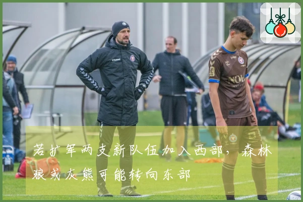 若扩军两支新队伍加入西部，森林狼或灰熊可能转向东部