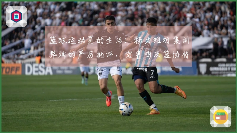 篮球运动员的生活：杨力维对集训弊端的严厉批评，宫鲁鸣及篮协将作何回应？